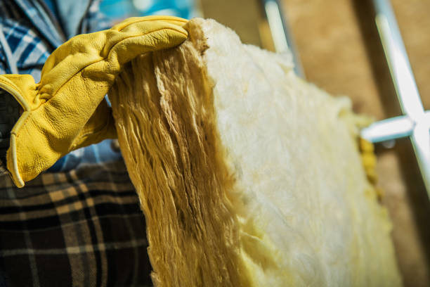 Best Home Insulation Services  in Archdale, NC